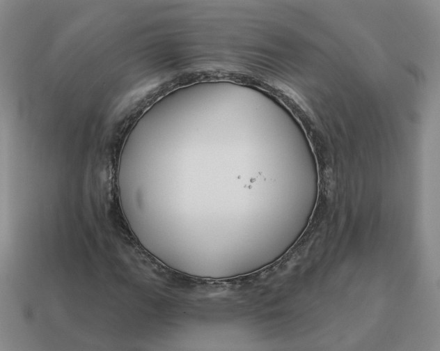 X0000114511111200911091124