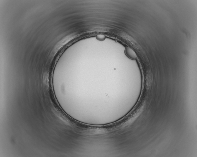 X0000114511113200911091124