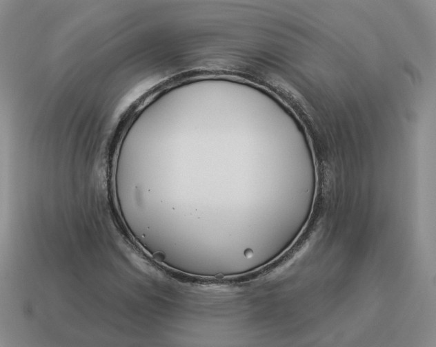 X0000114511114200911091124