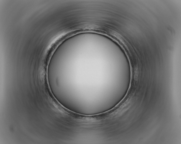 X0000114511115200911091124