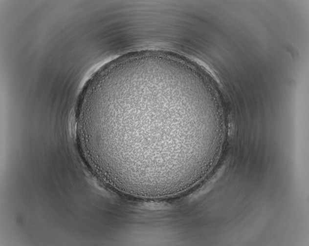 X0000114511117200911091124