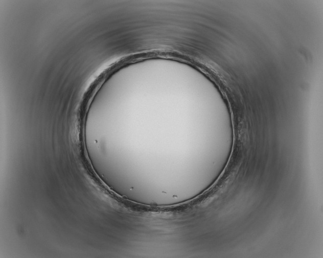 X0000114511118200911091124