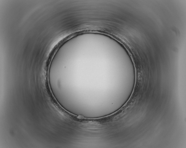 X0000114511119200911091124