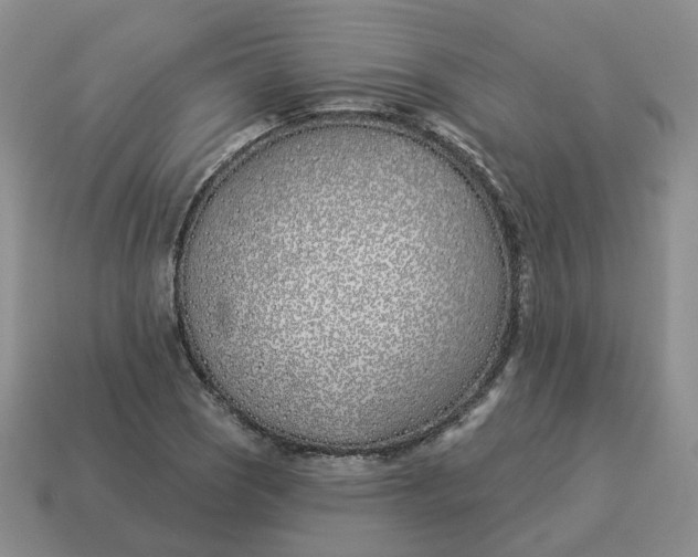 X0000114511121200911091124