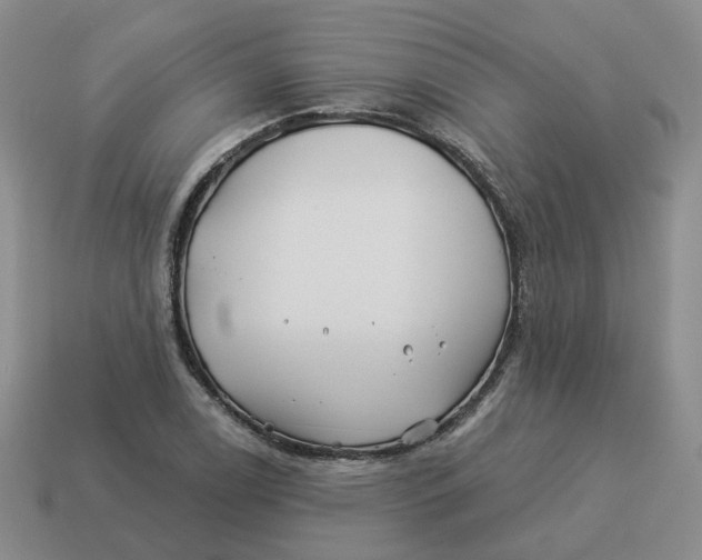 X0000114511122200911091124