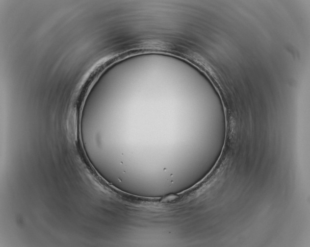 X0000114511123200911091124