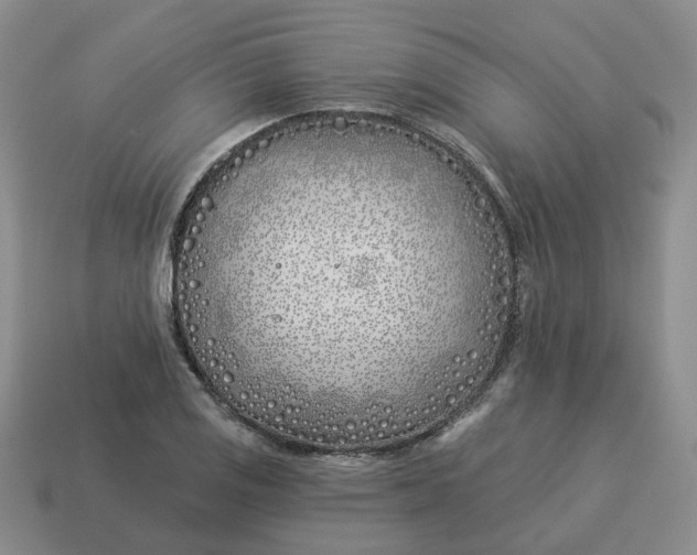 X0000114511125200911091124