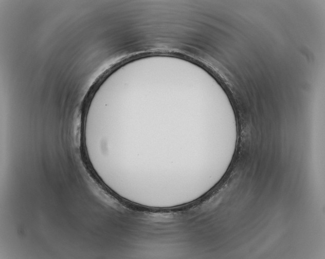 X0000114511126200911091124