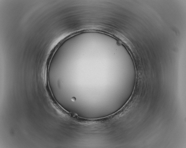 X0000114511127200911091124