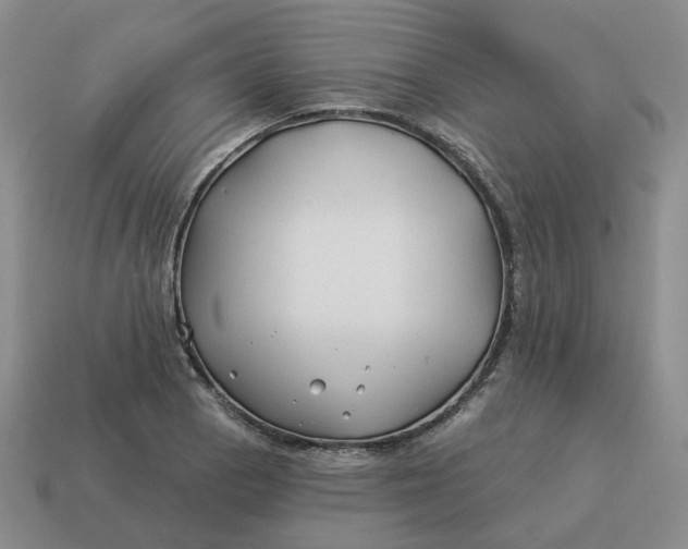 X0000114511129200911091124