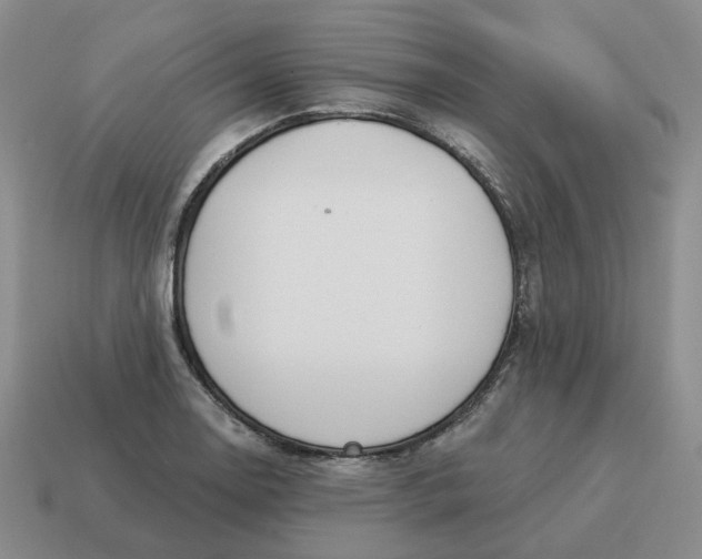 X0000114511130200911091124