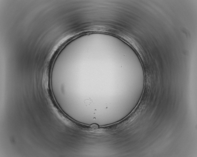 X0000114511131200911091124