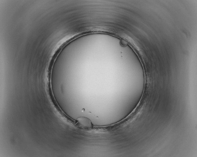 X0000114511133200911091124