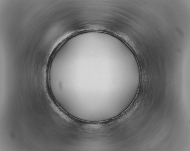 X0000114511134200911091124