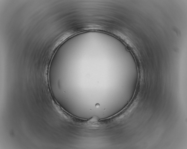 X0000114511137200911091124