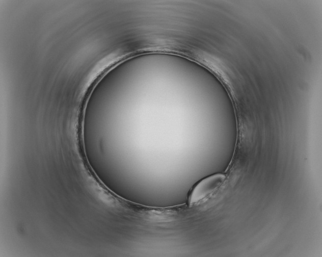 X0000114511138200911091124