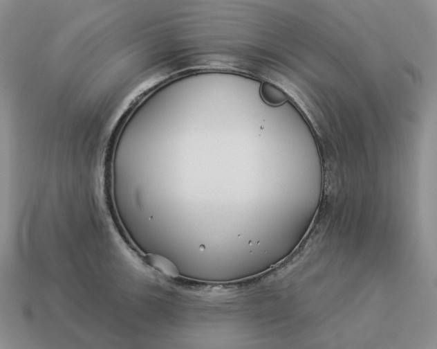 X0000114511139200911091124