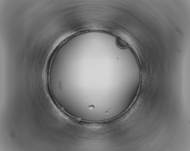 X0000114511141200911091124