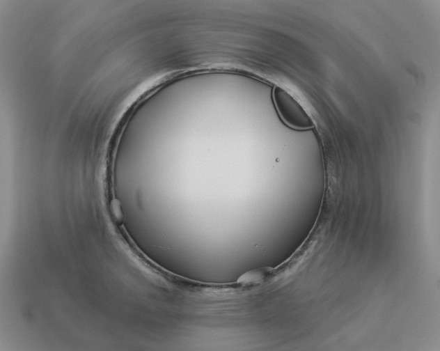 X0000114511142200911091124