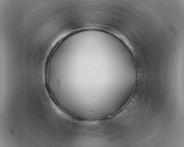 X0000114511143200911091124