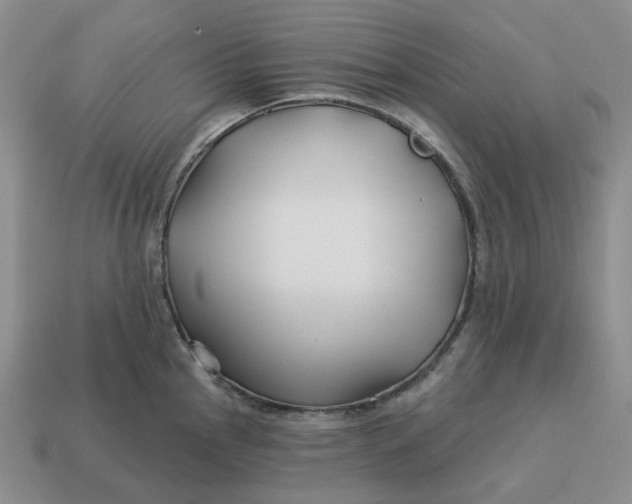 X0000114511145200911091124