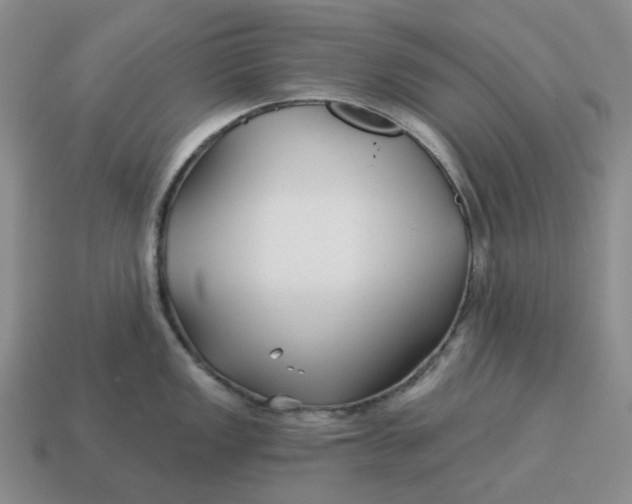 X0000114511149200911091124