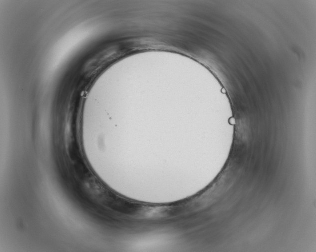 X0000114511150200911091124