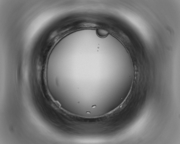 X0000114511151200911091124