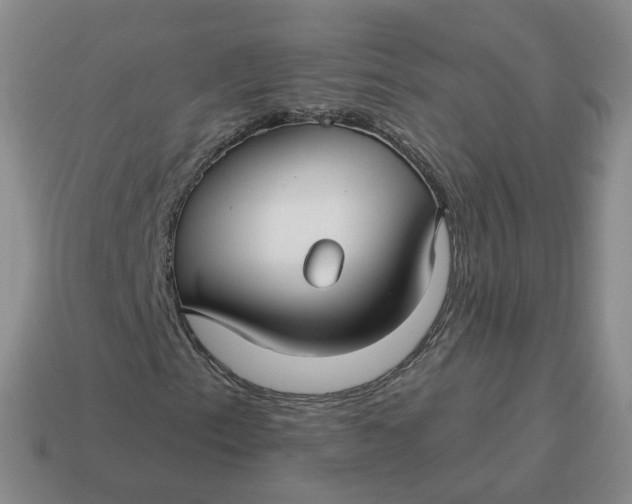 X0000114511153200911091124