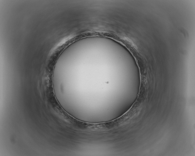 X0000114511159200911091124