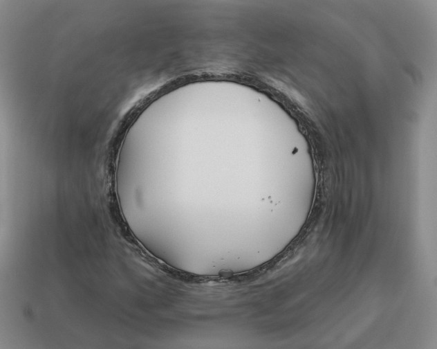 X0000114511160200911091124