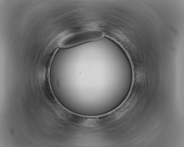 X0000114511161200911091124