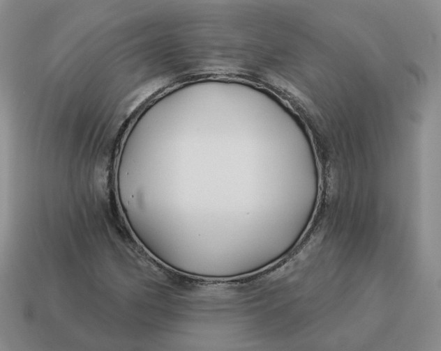 X0000114511162200911091124