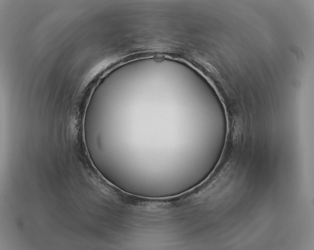 X0000114511163200911091124