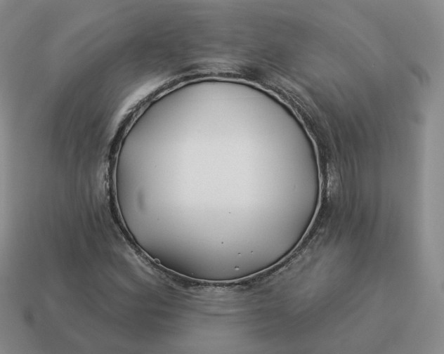 X0000114511164200911091124