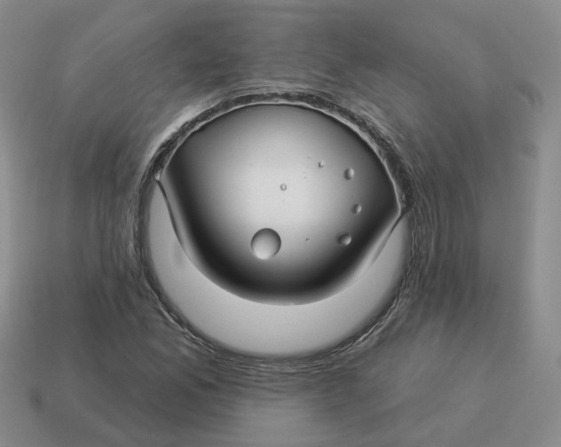 X0000114511165200911091124