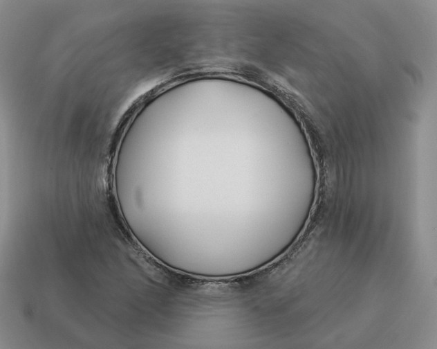 X0000114511166200911091124