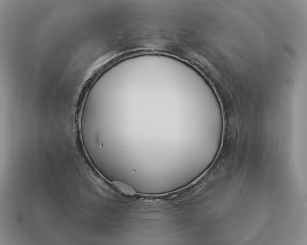 X0000114511168200911091124