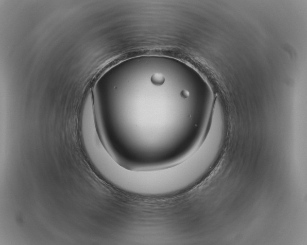 X0000114511169200911091124