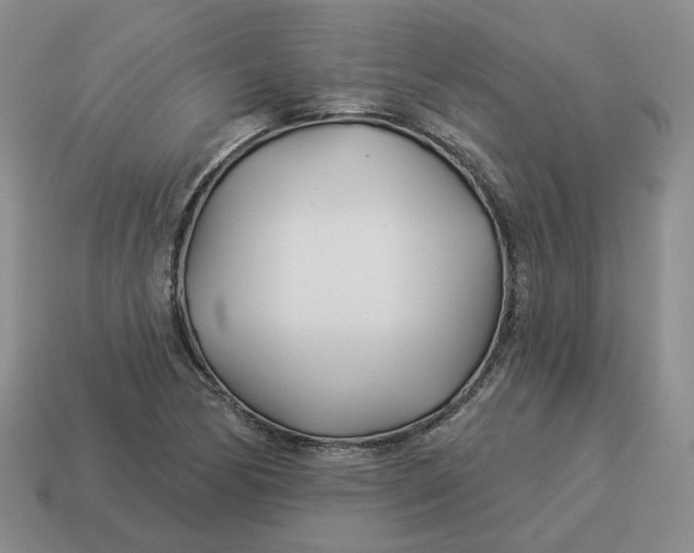 X0000114511170200911091124