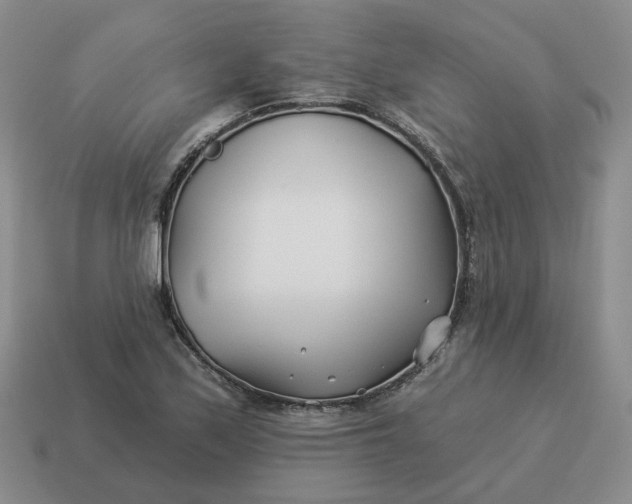 X0000114511171200911091123