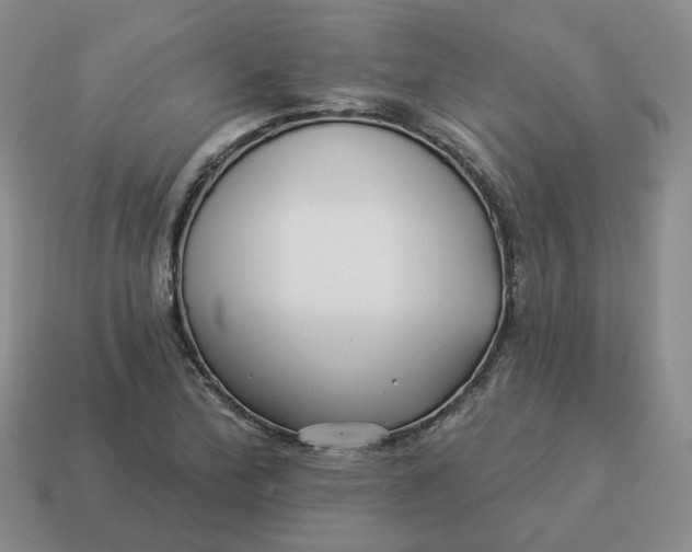 X0000114511172200911091123