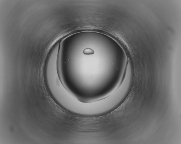 X0000114511173200911091123