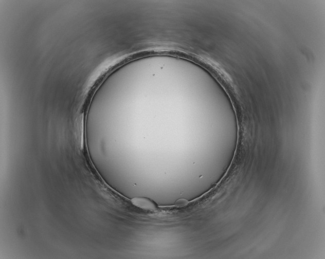 X0000114511175200911091123