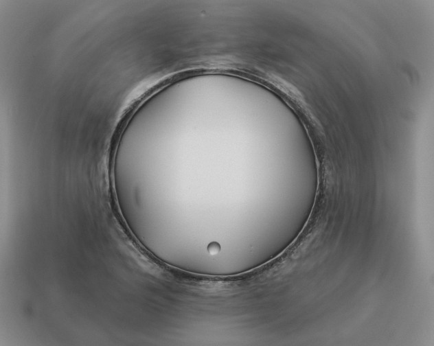 X0000114511176200911091123