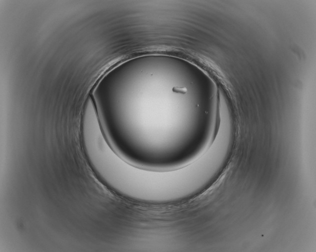 X0000114511177200911091123