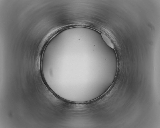 X0000114511180200911091123