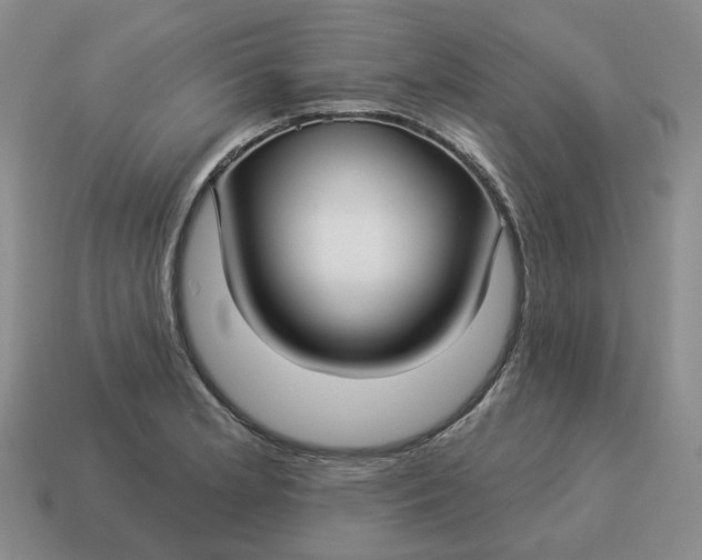 X0000114511181200911091123