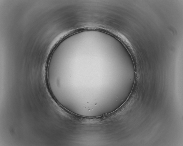 X0000114511183200911091123