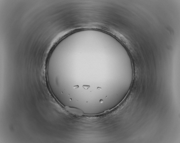 X0000114511184200911091123